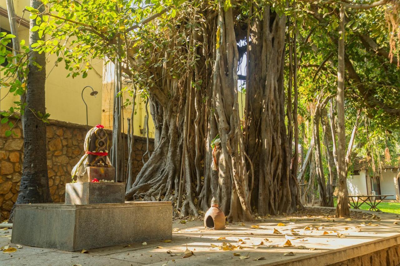 Heritage Madurai Exterior photo The Banyan Tree at the University of Madras